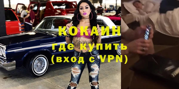 сатива Кинешма