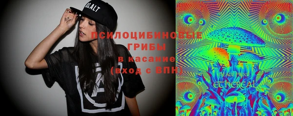 сатива Кинешма