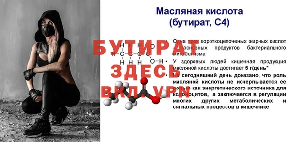 сатива Кинешма