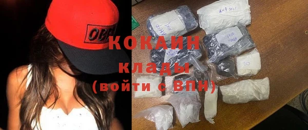 сатива Кинешма
