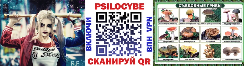 Купить где  Покров  Галлюциногенные грибы GOLDEN TEACHER 