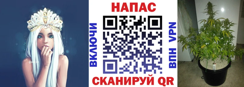 Купить где  Покров  Бошки Шишки марихуана 